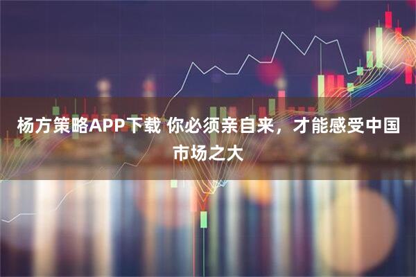 杨方策略APP下载 你必须亲自来，才能感受中国市场之大