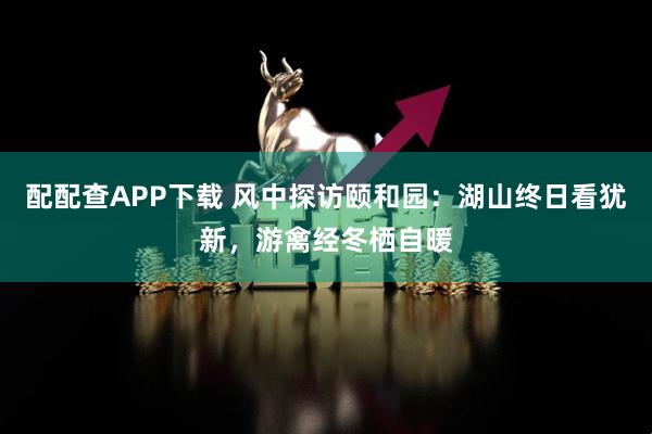 配配查APP下载 风中探访颐和园：湖山终日看犹新，游禽经冬栖自暖