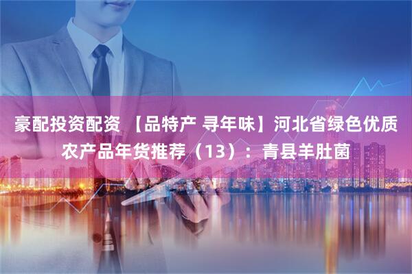 豪配投资配资 【品特产 寻年味】河北省绿色优质农产品年货推荐（13）：青县羊肚菌