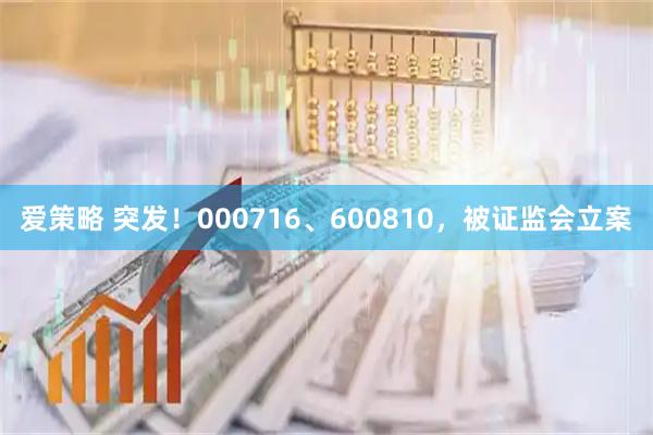 爱策略 突发！000716、600810，被证监会立案